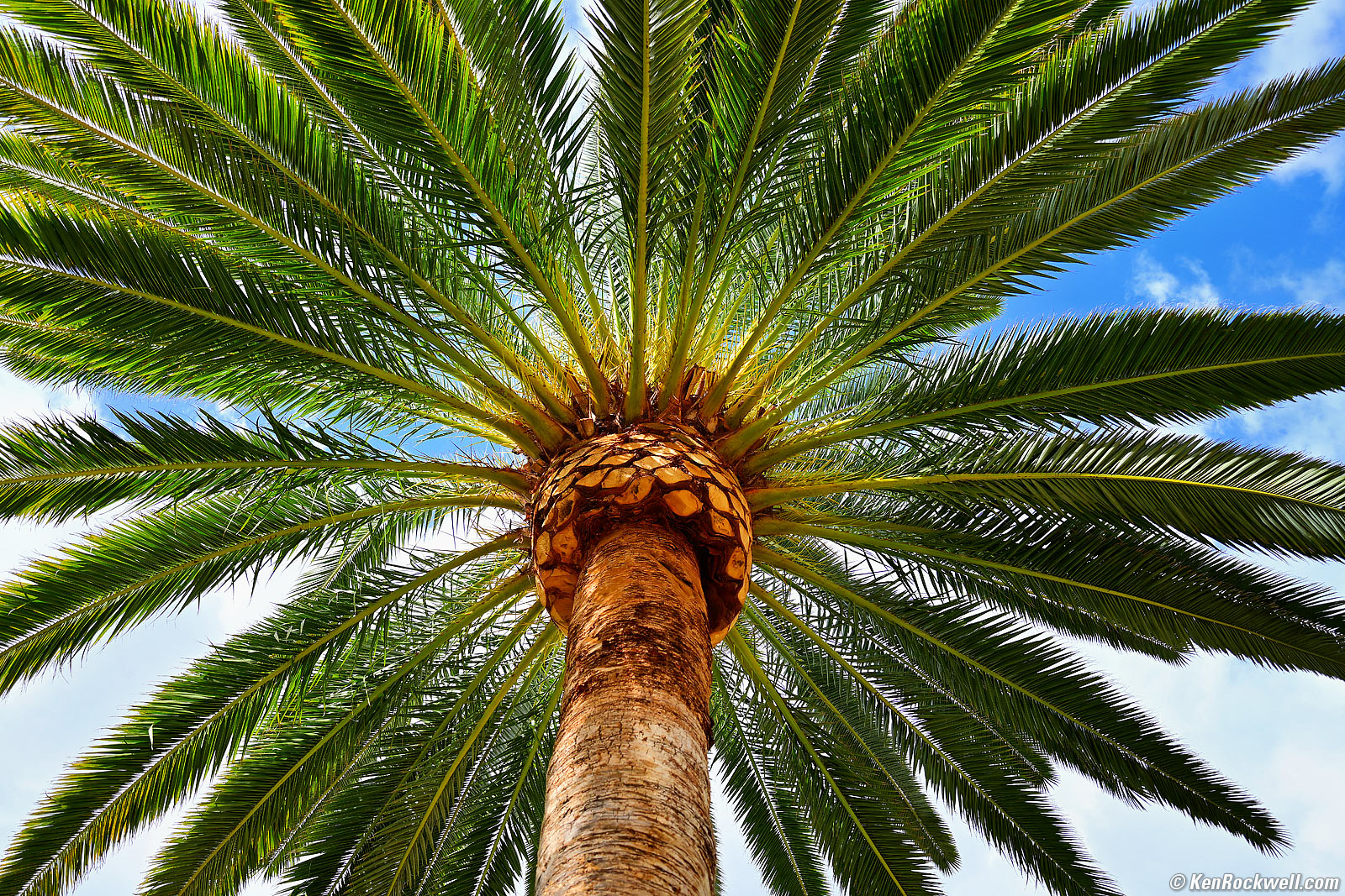 Nikon Z 17-28mm f/2.8 Sample Image File