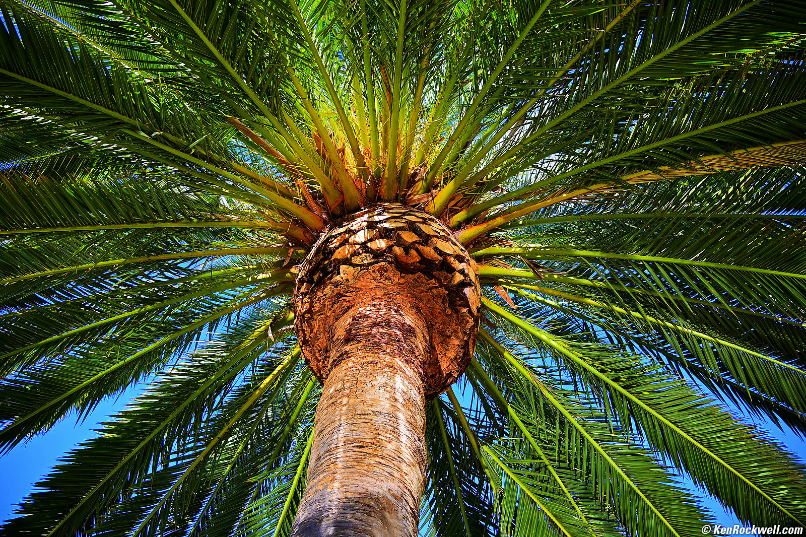 Nikon Z 18-140mm VR DX Sample Image