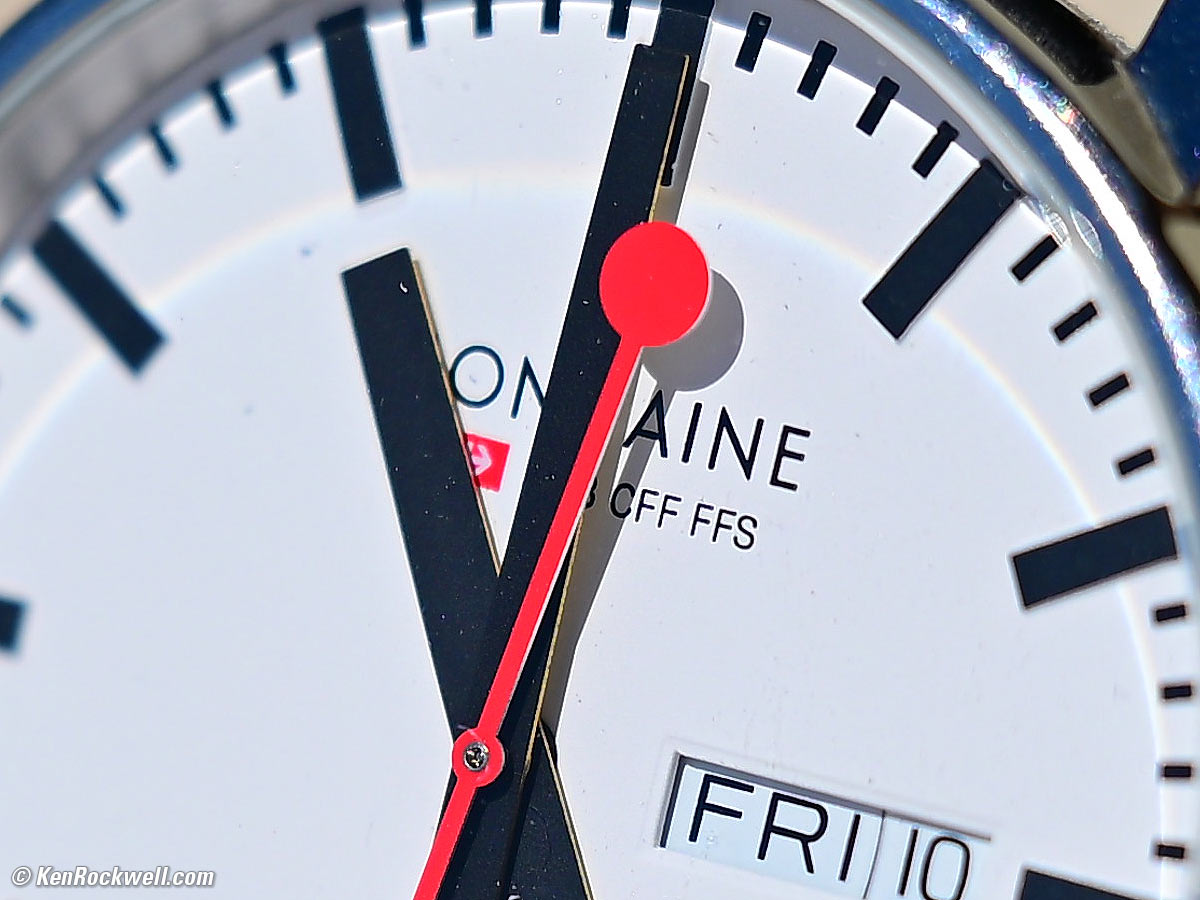 Nikon Z 28-135mm f/4 PZ Macro Sample Image File