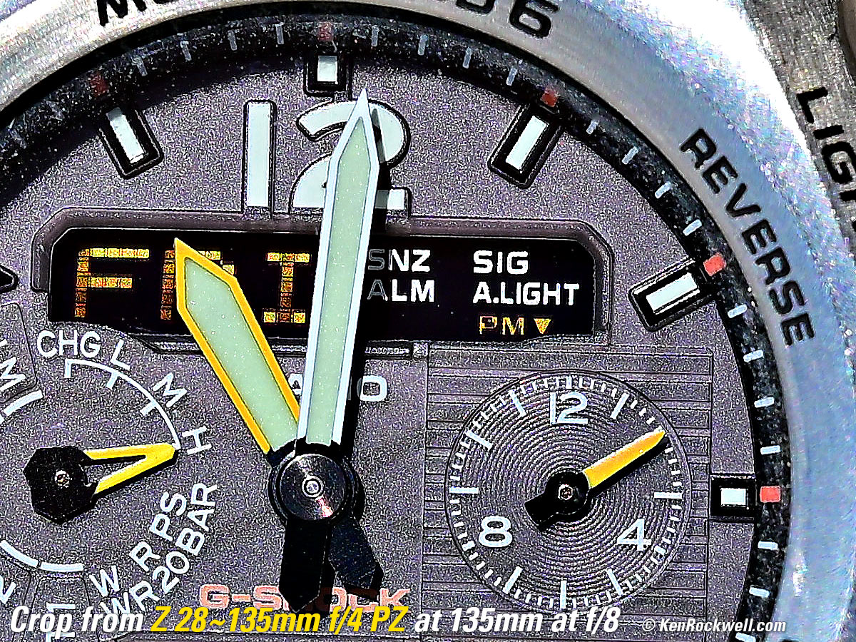 Nikon Z 28-135mm f/4 PZ Macro Sample Image File