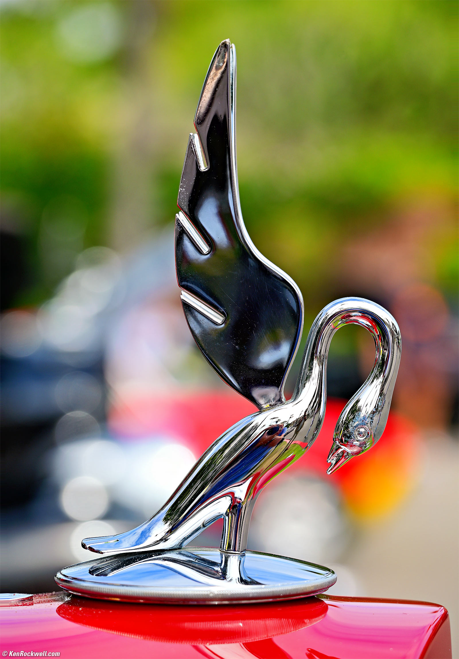 Nikon Z 28-135mm f/4 PZ Sample Image File