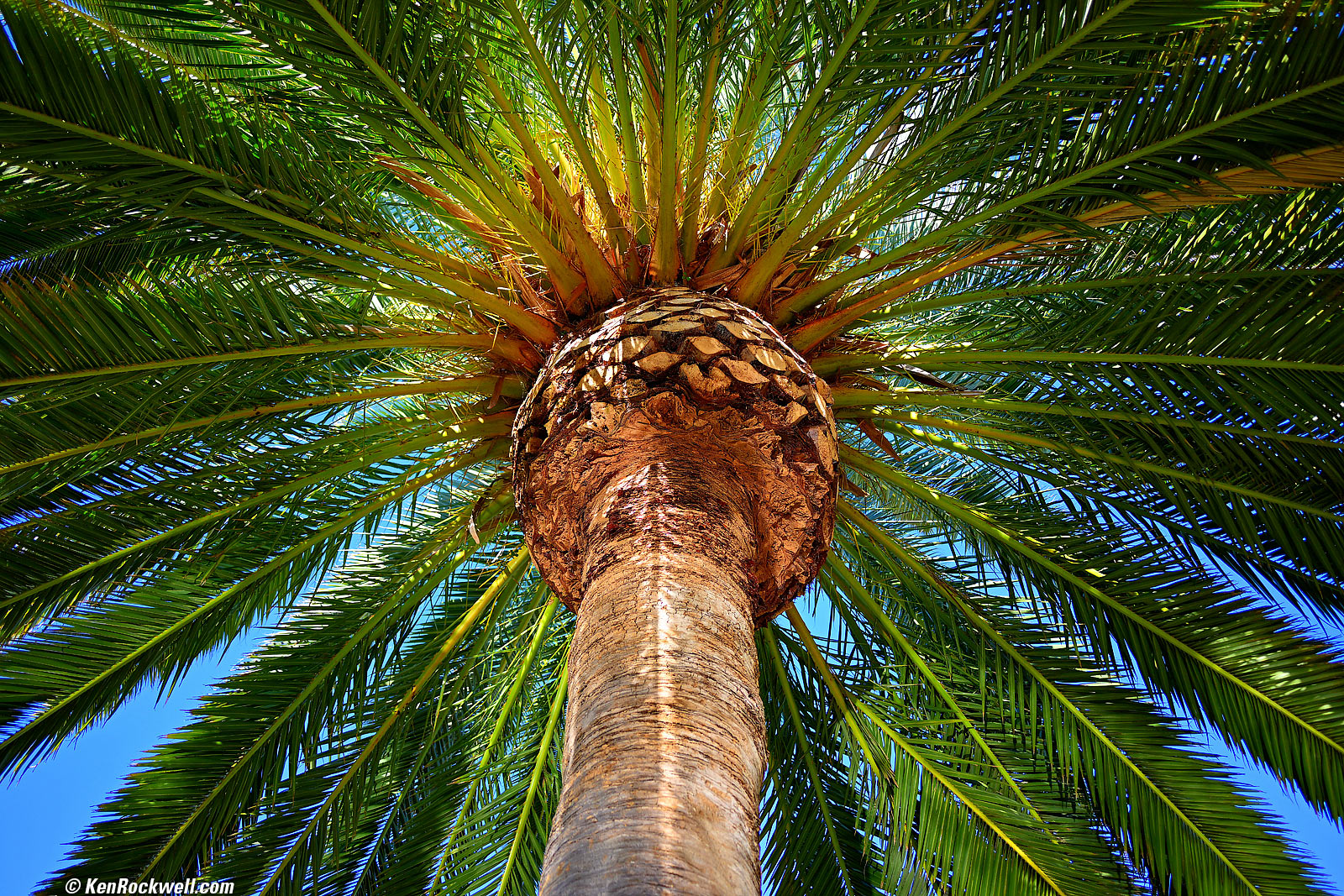 Nikon Z 28mm f/2.8 SE Sample Image File