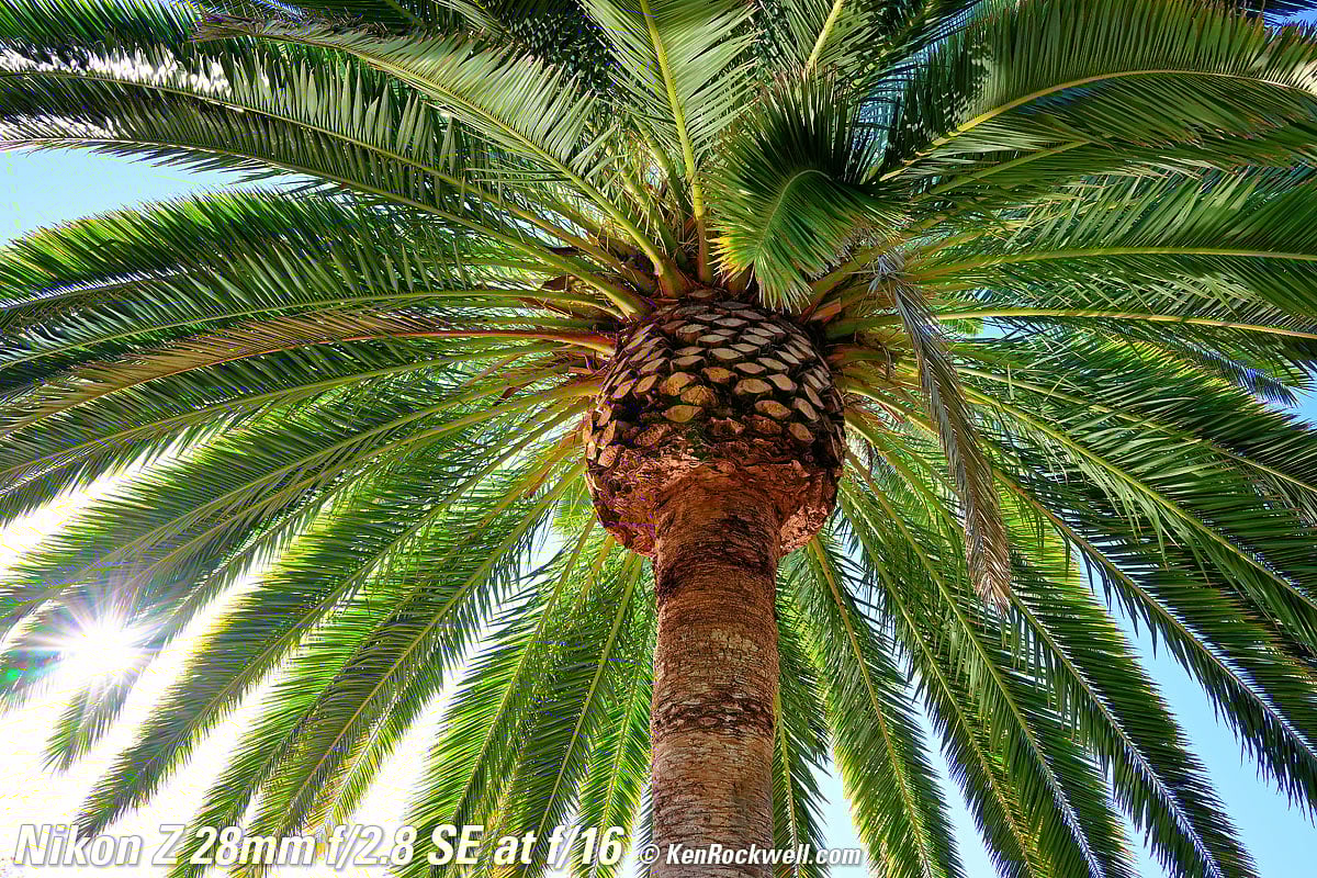 Nikon Z 28mm f/2.8 SE Special Edition Review & Sample Images Nikon Z 28mm f/2.8 SE Special Edition Review & Sample Images