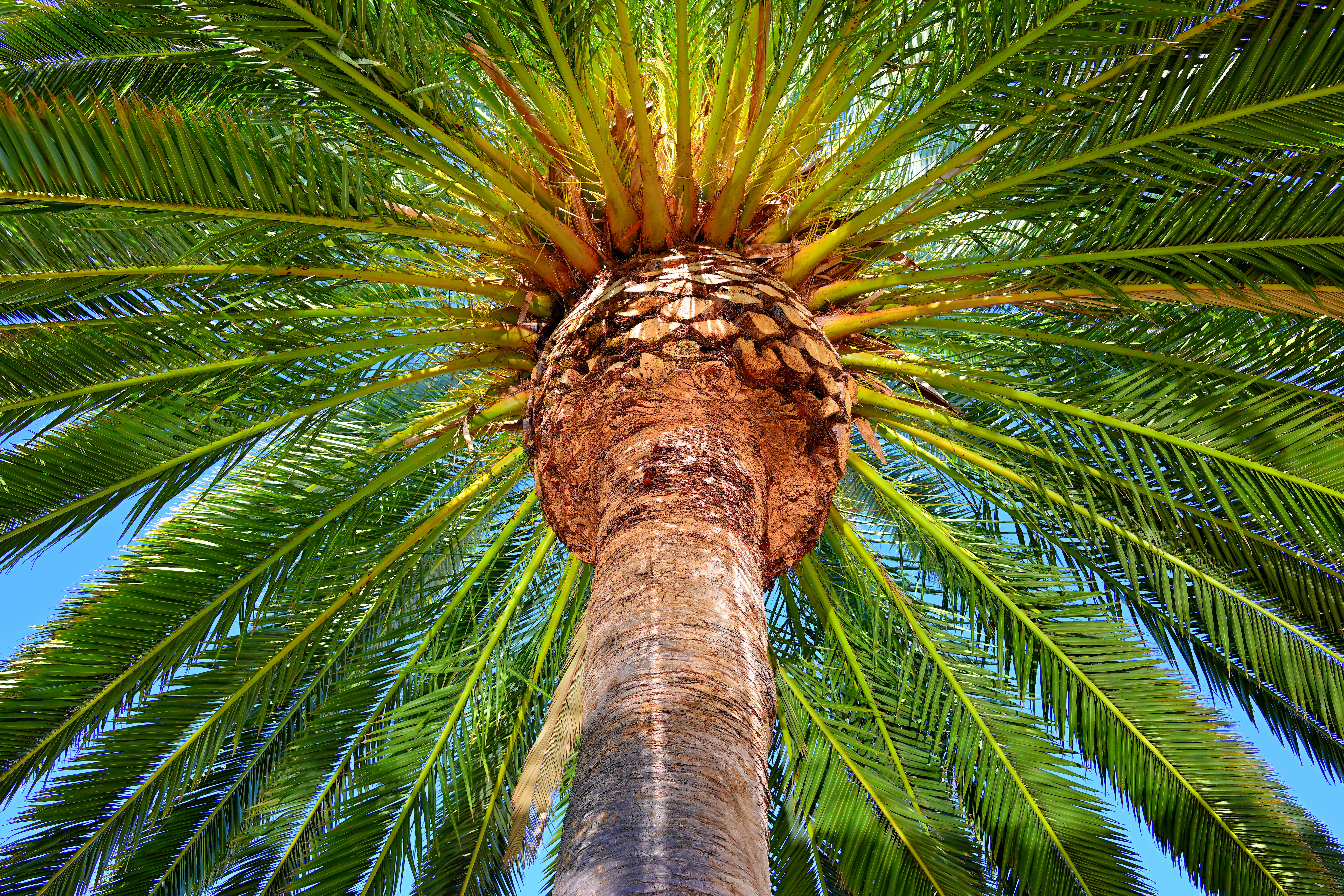 Nikon Z 28mm f/2.8 Review & Sample Images by Ken Rockwell