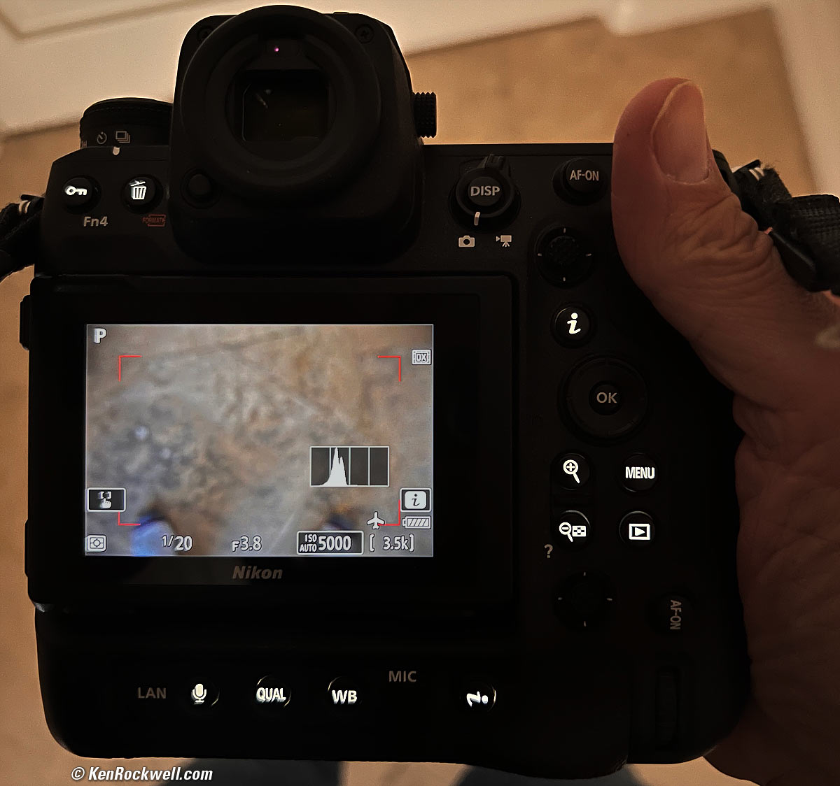 Nikon Z9 First look hands on. Autofocus tests 