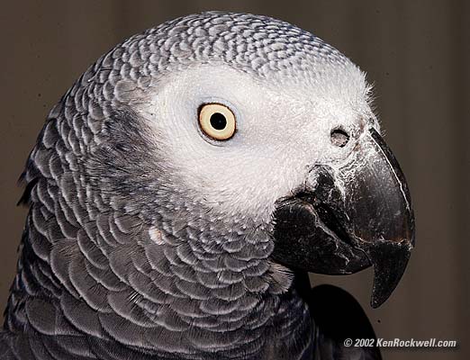 dsc_8580-e.jpg