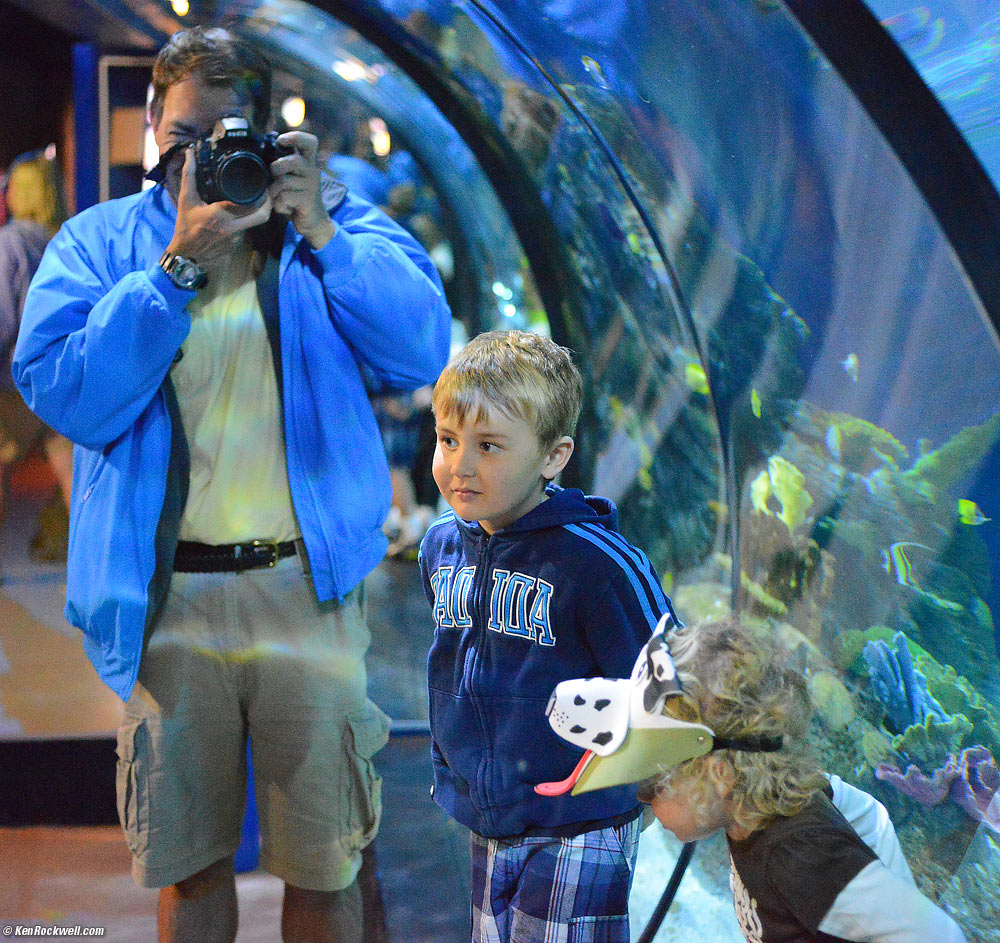 SeaLife