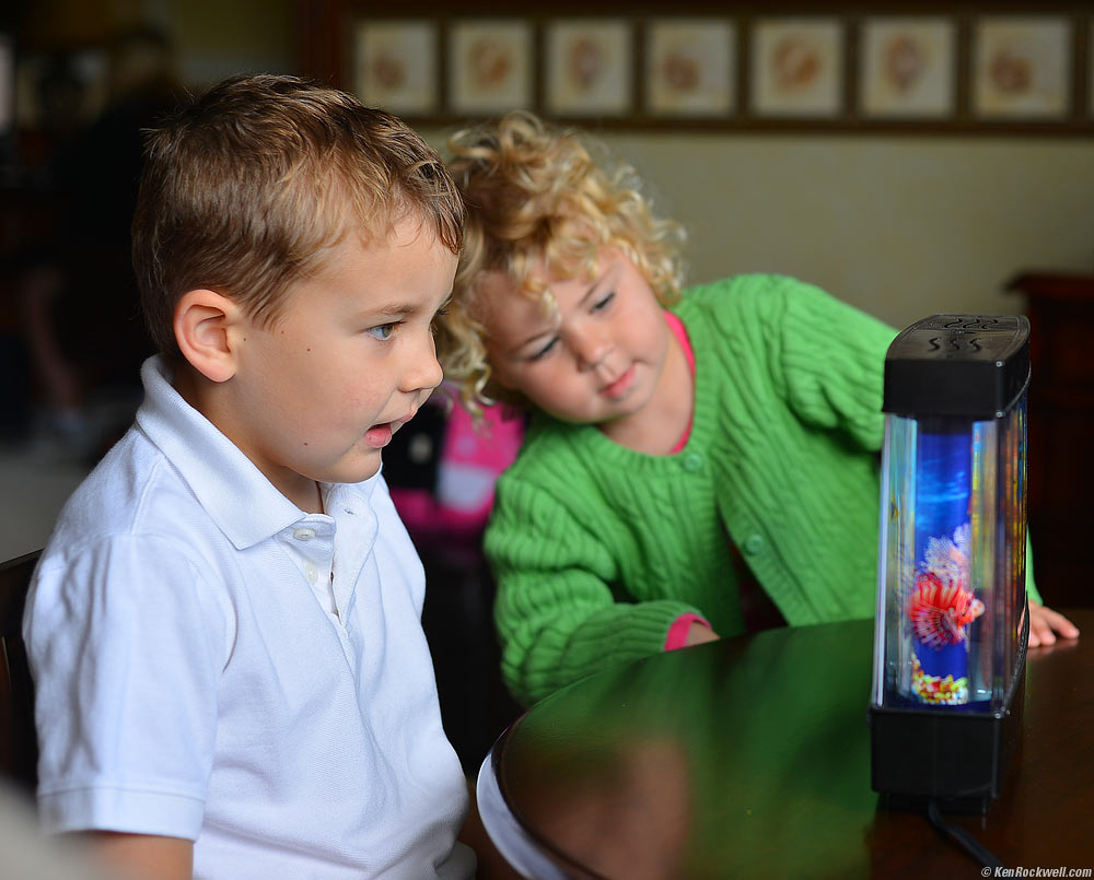 Ryan checks out Katie's fish tank.