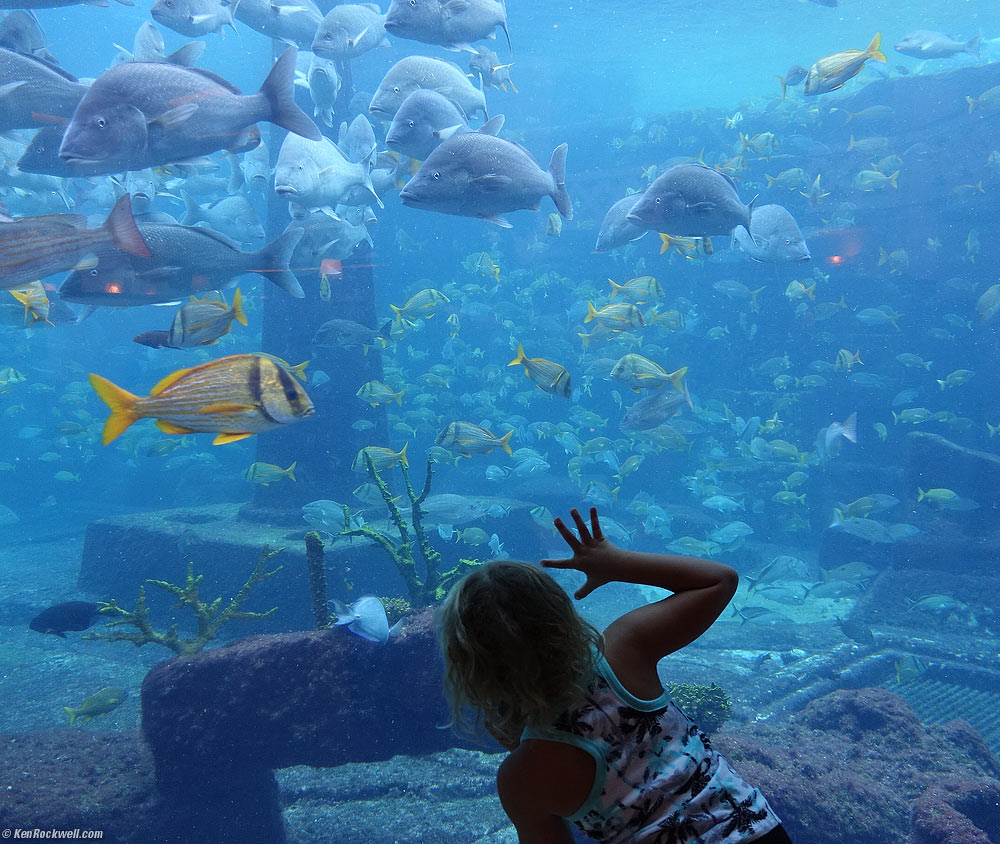 Katie and the fish