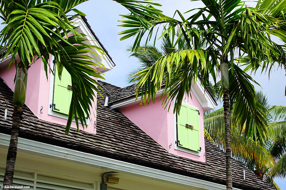 Bahamian colors and palm trees