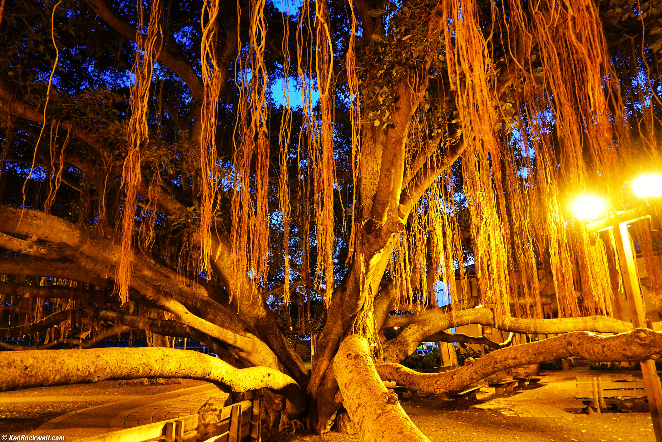 Sony a6300 night sales photography