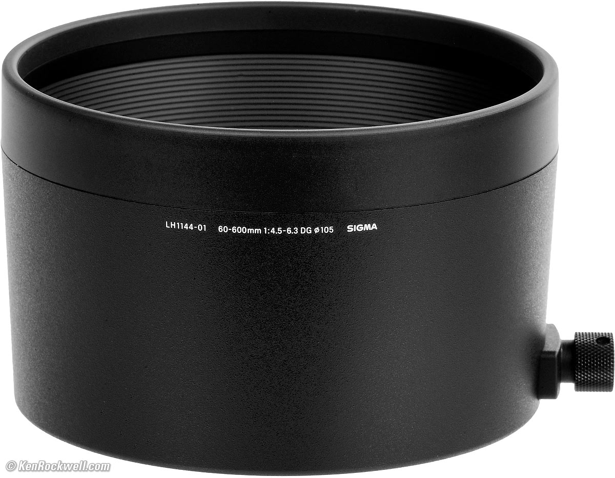 Sigma 60‑600mm DG OS DN HSM Sports Review & Sample Image Sigma 60‑600mm DG OS DN HSM Sports Review & Sample Image