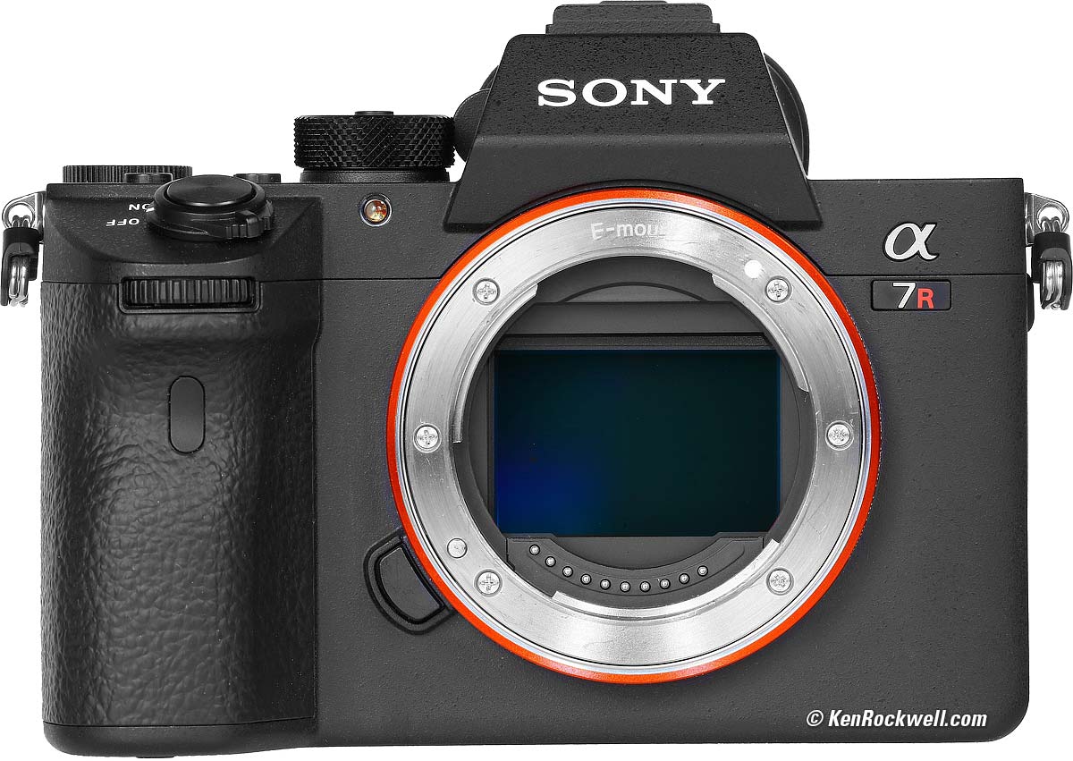 Sony a7R3 (a7R III) Review 