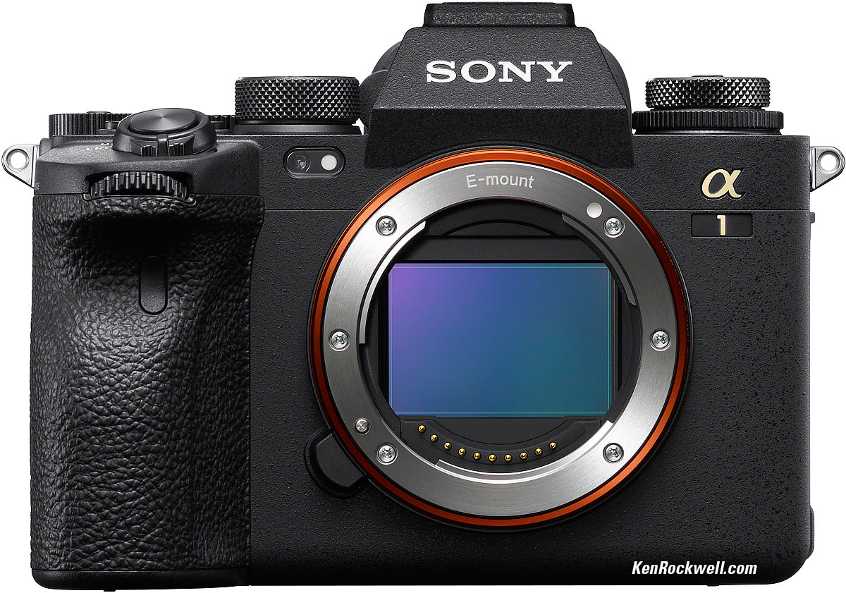 Sony A1