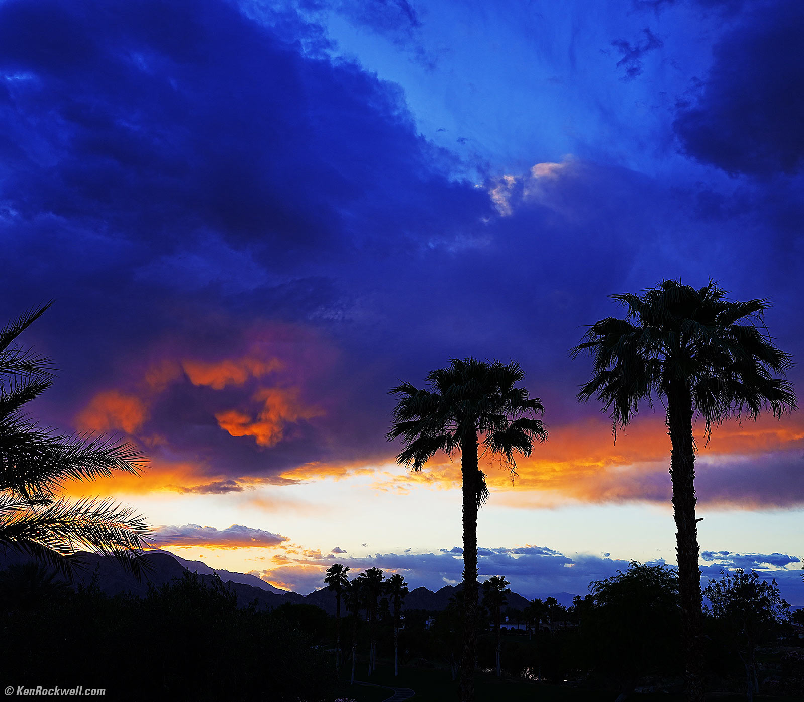Sony A1 Sample Image File