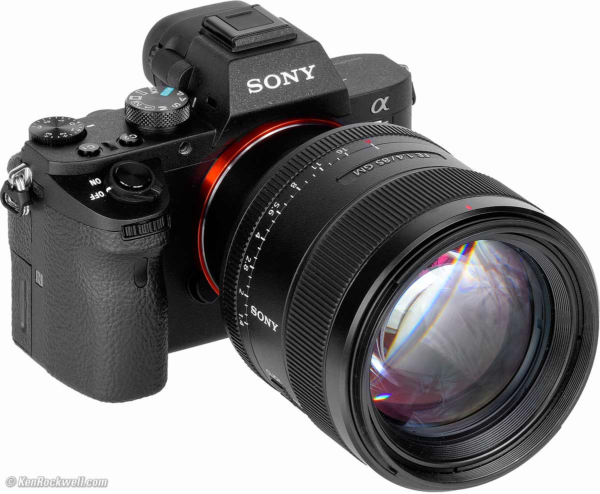 Sony a7ii + ニコン Ai 50mm F1.8 - 通販 - parelhas.rn.gov.br