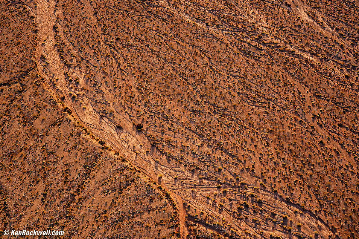 Aerial view of creosote bushes on Nevada desert floor