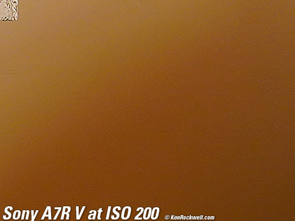 Sony A7R V High ISO Sample Image File