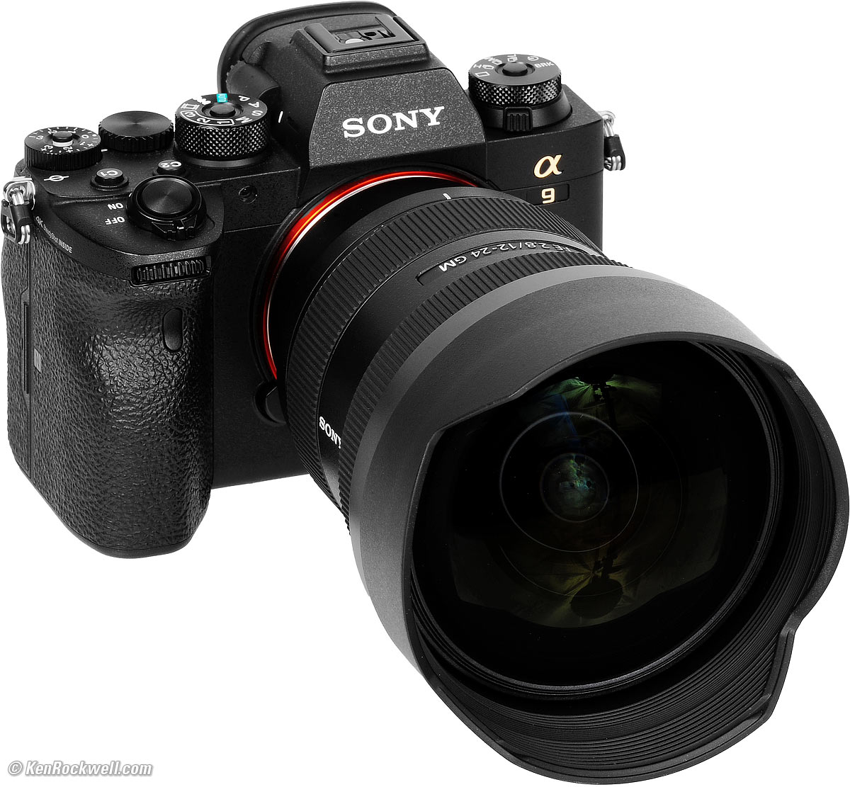 Review: Sony a6600 (The 'Lil a9 II With Problems They Refuse to Fix)