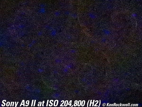 Sony A9 II High ISO Sample Image File