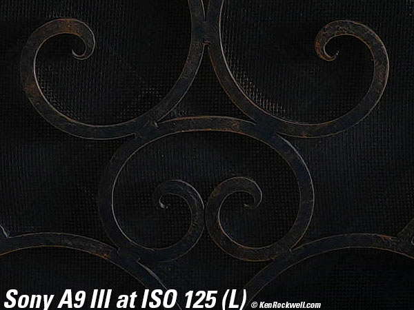 Sony A9 III High ISO Sample Image Files