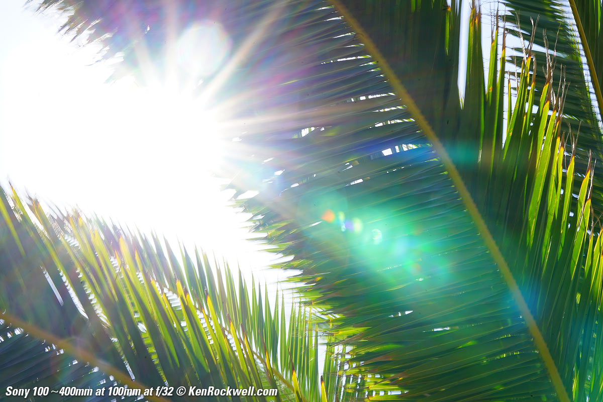 Sony 100-400mm f/4.5-5.6 Sample Image