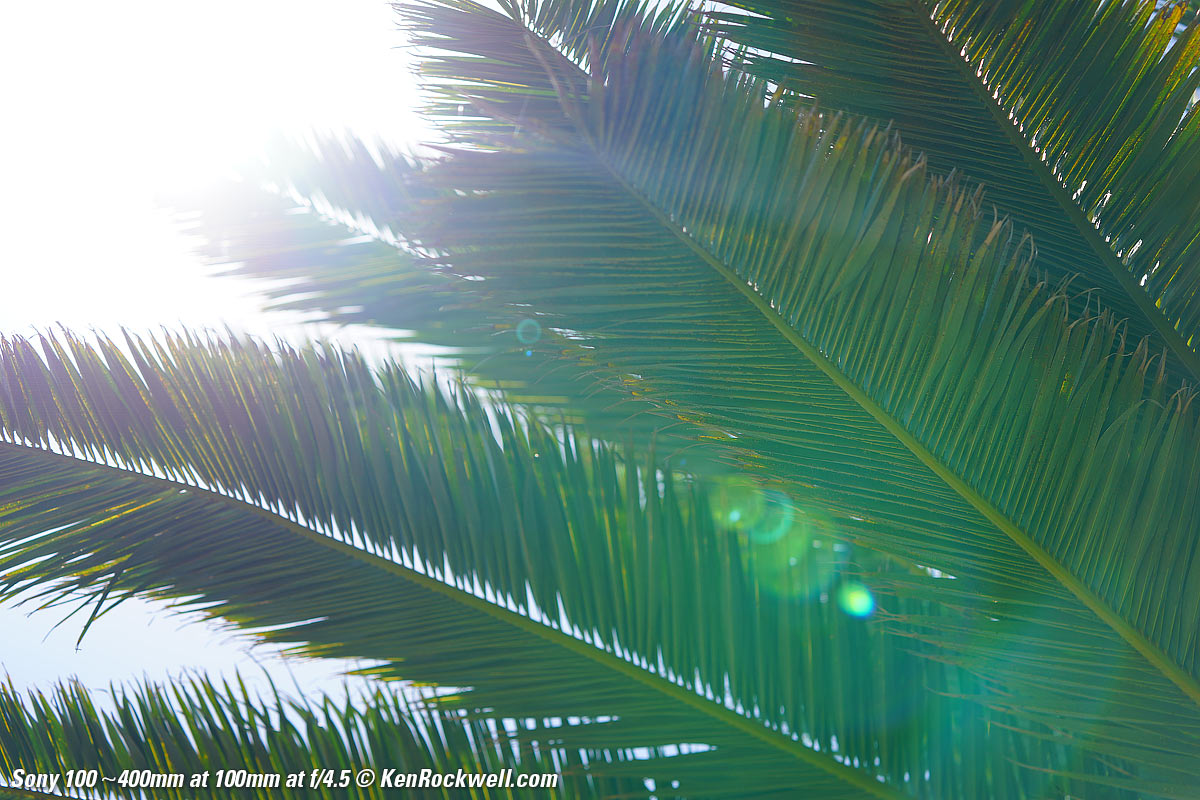 Sony 100-400mm f/4.5-5.6 Sample Image