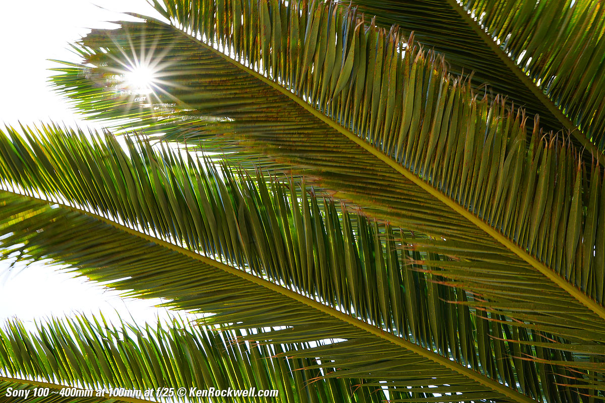 Sony 100-400mm f/4.5-5.6 Sample Image