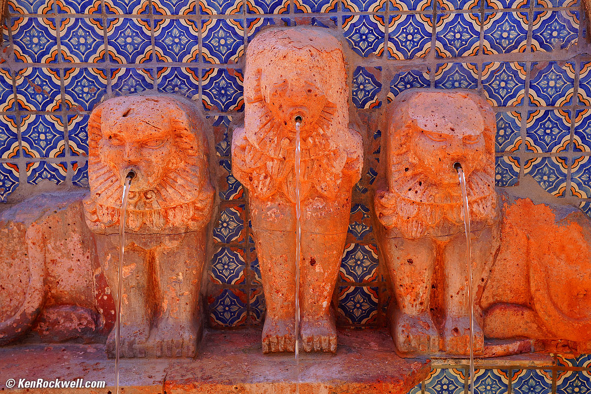 Lions, El Torito