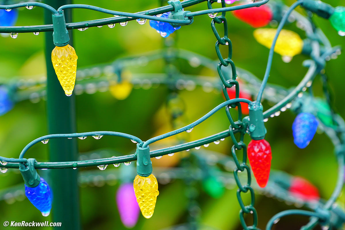 Christmas lights