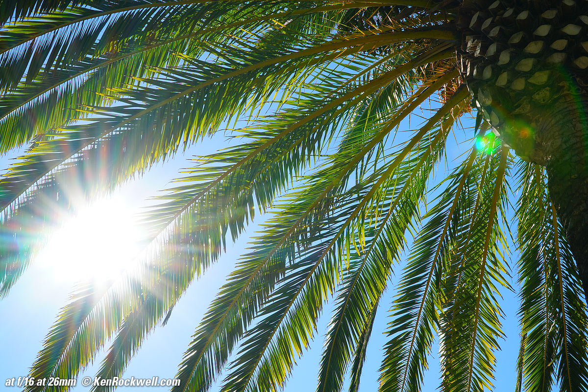 Sony 18-105mm Sunstars