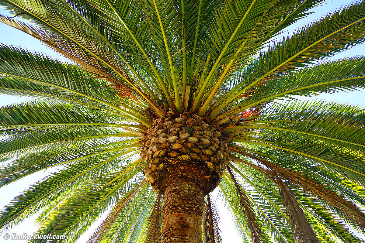 Sony 24-70 mm f/2.8 Próbki