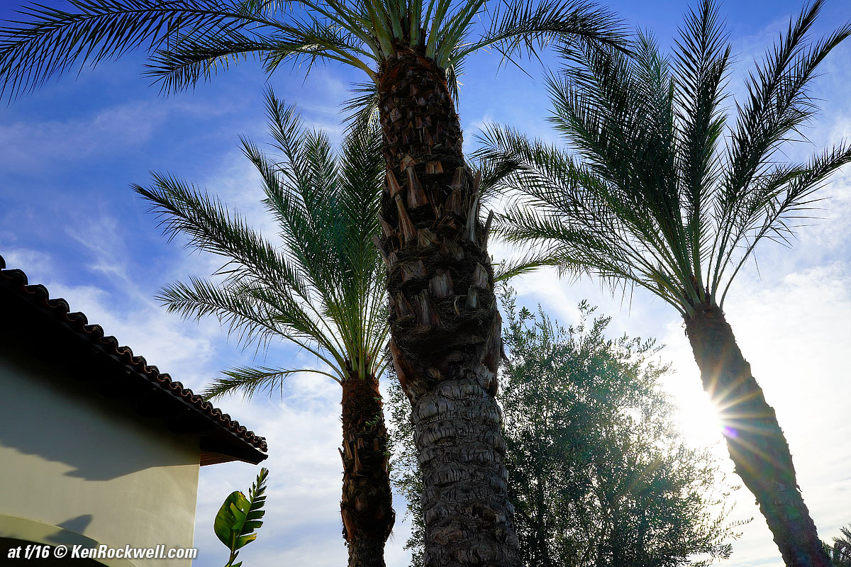 Sony 28mm f/2 Sunstars
