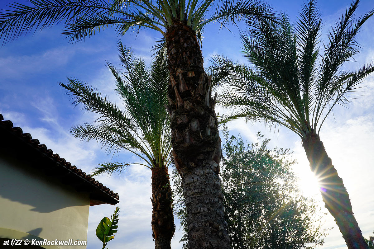 Sony 28mm f/2 Sunstars