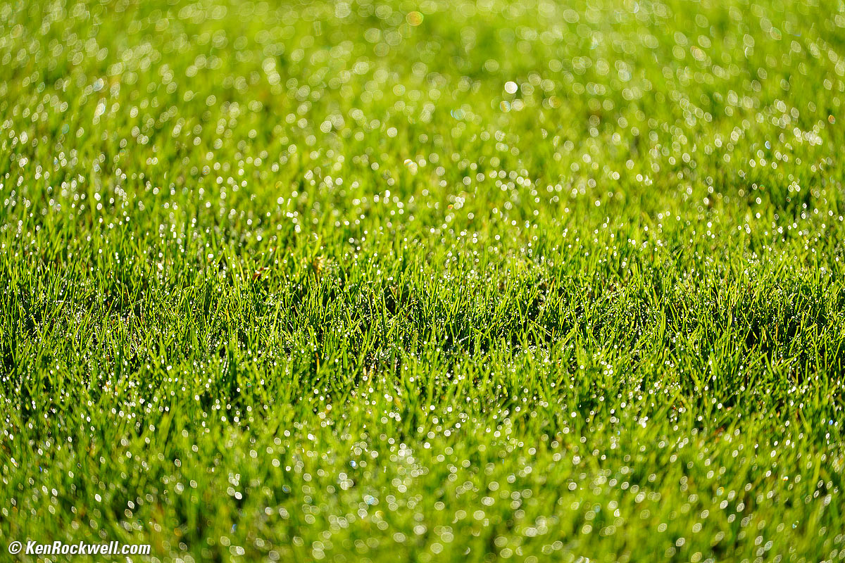 Sony 70-300mm Sample Image File