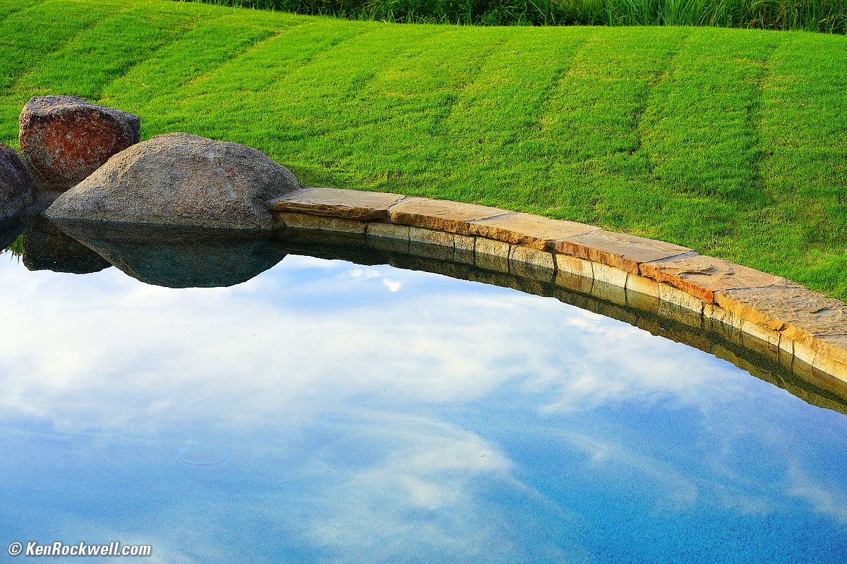 Quiet Green Grass
