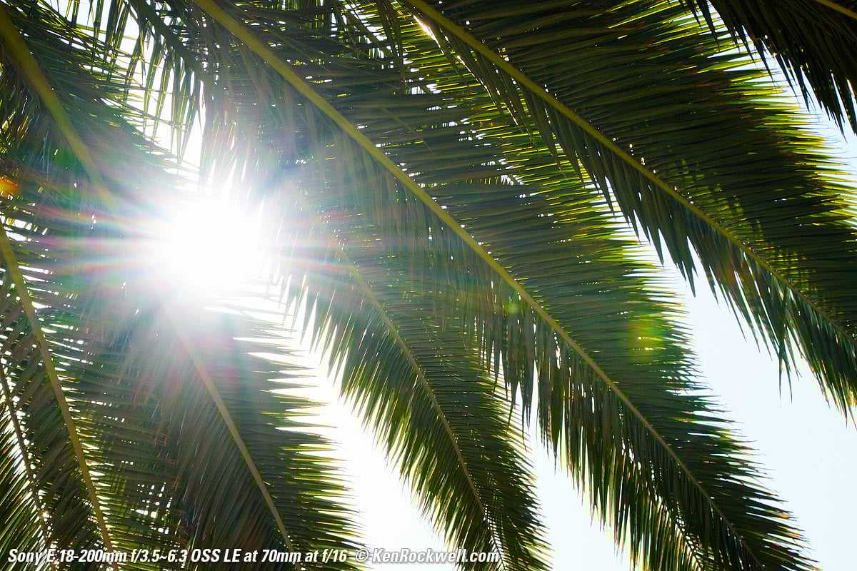 Sony 18-200mm Review