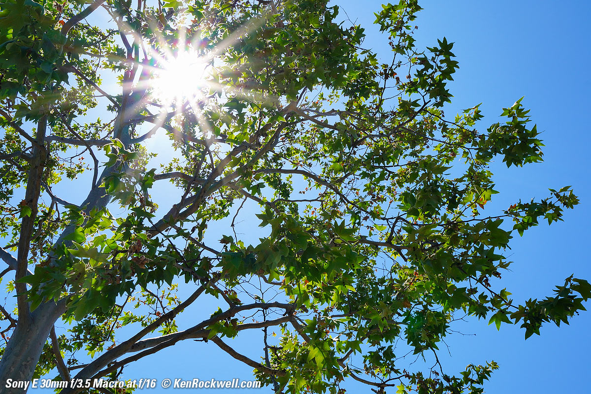 Sony 30mm f/3.5 Sunstars