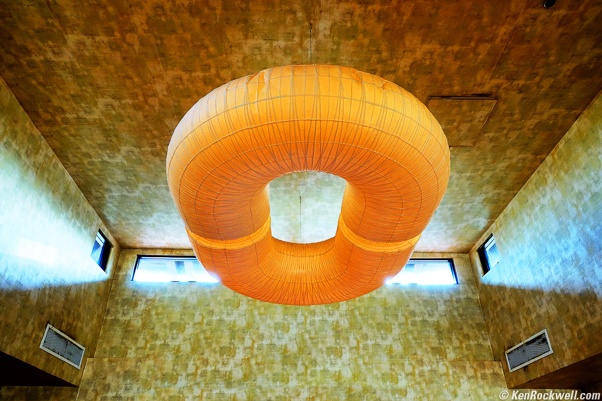 Eerie Torus