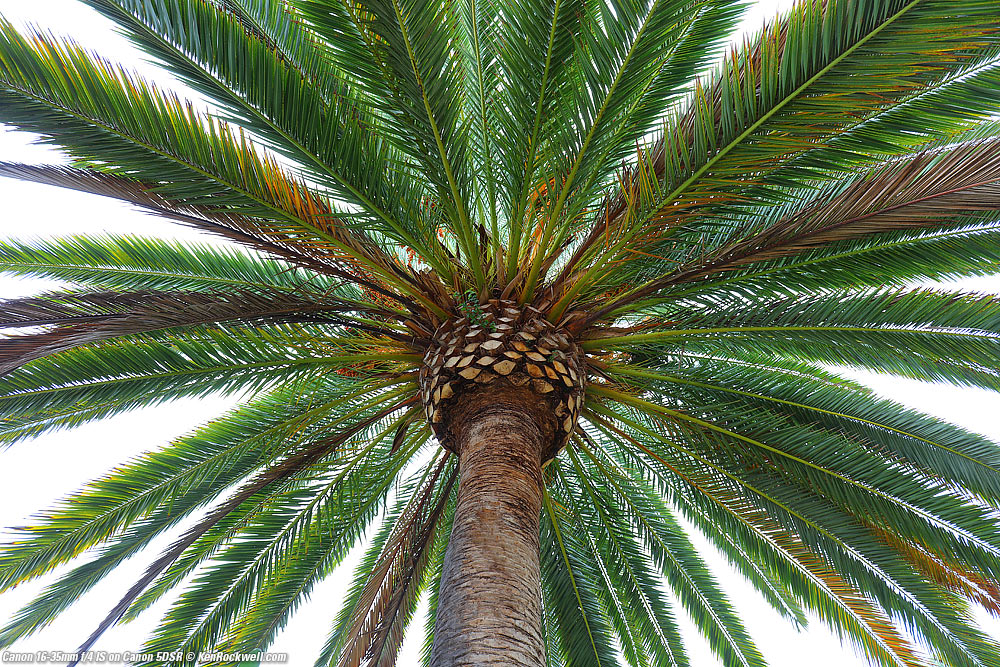 Canon 16-35mm f/4 IS on Canon 5DSR