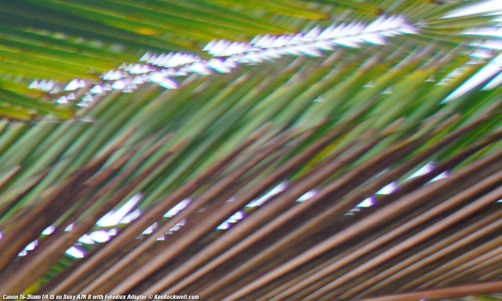 Canon 16-35mm f/4 IS on Canon 5DSR