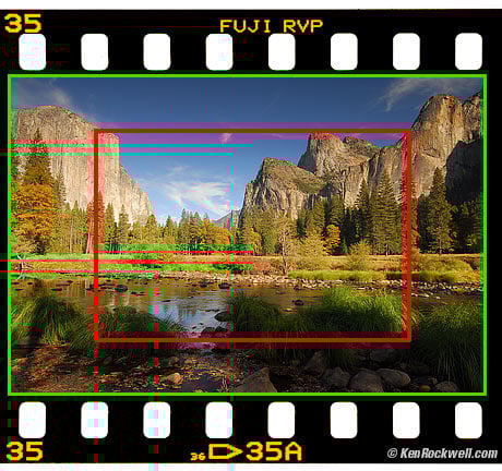nikon dx format cameras
