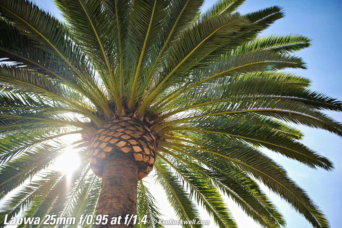 Laowa 25mm f/0.95 Sunstars, Ghosts and Flare Sample Image
