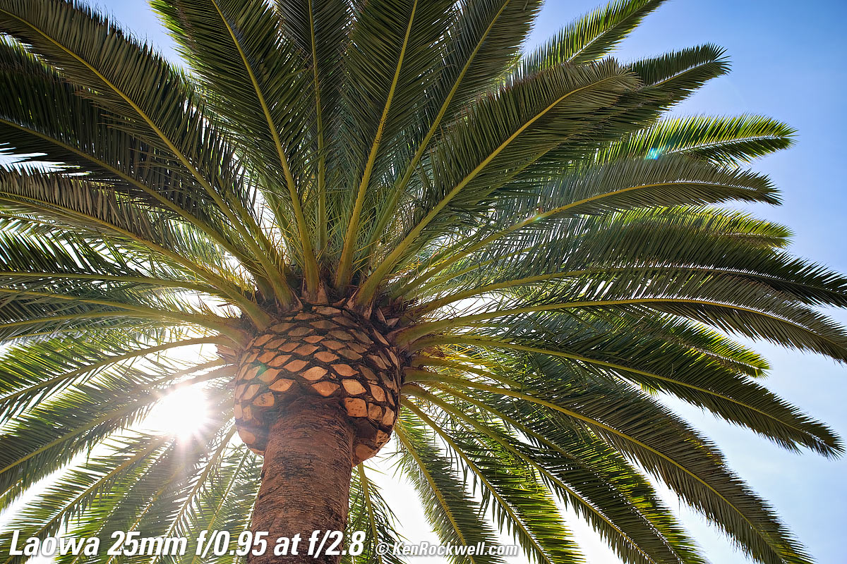 Laowa 25mm f/0.95 Sunstars, Ghosts and Flare Sample Image