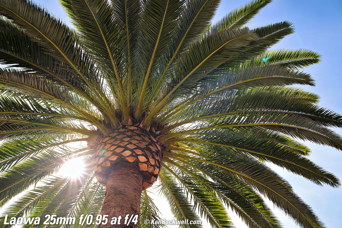 Laowa 25mm f/0.95 Sunstars, Ghosts and Flare Sample Image