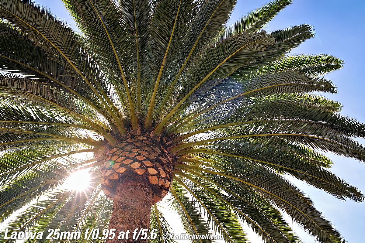 Laowa 25mm f/0.95 Sunstars, Ghosts and Flare Sample Image
