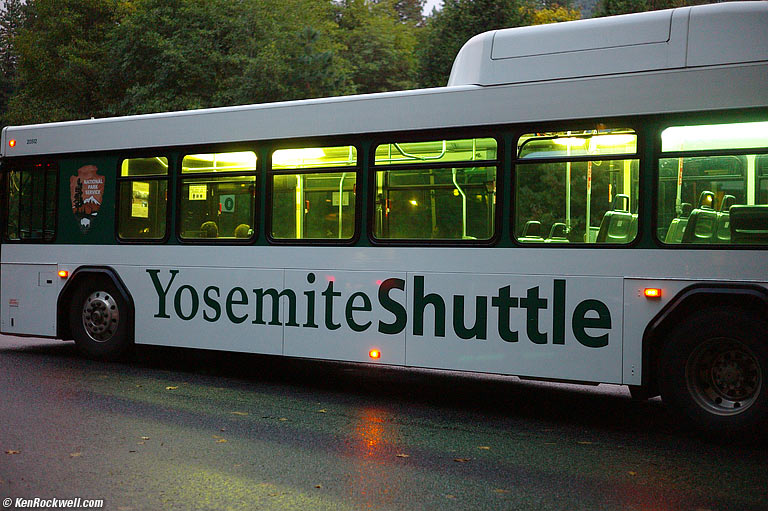 Green Bus