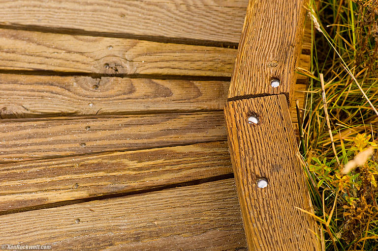 Boardwalk