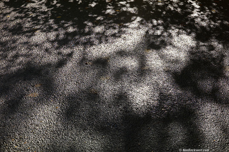 Shadows