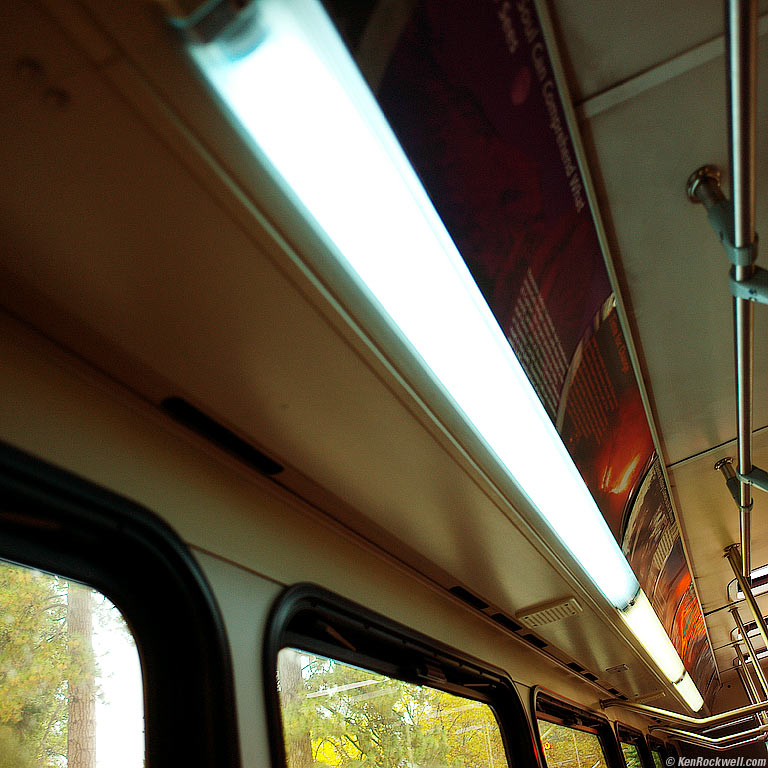 Bus Ride